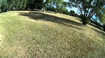 QVA250 with Naze32 Borisb 1.9b Cleanflight