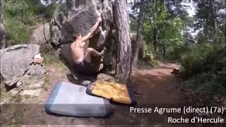 Presse Agrume Direct 7A