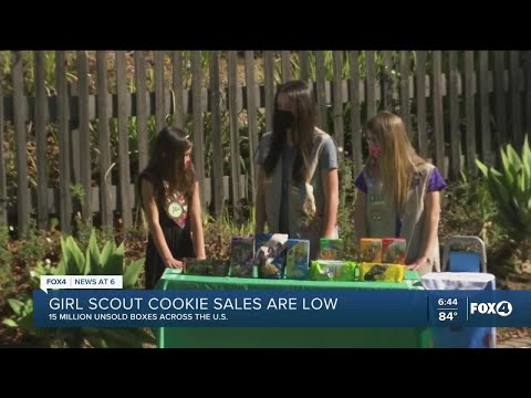 Vídeo: Mapeado: Las Cookies De Girl Scouts Favoritas De Los Estados Unidos - Matador Network