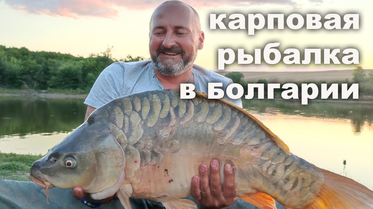 Потрясающая карповая рыбалка в Болгарии