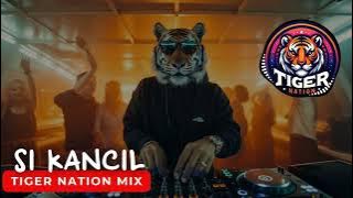 Lagu remix 2025 | Si kancil anak nakal | remix 2025