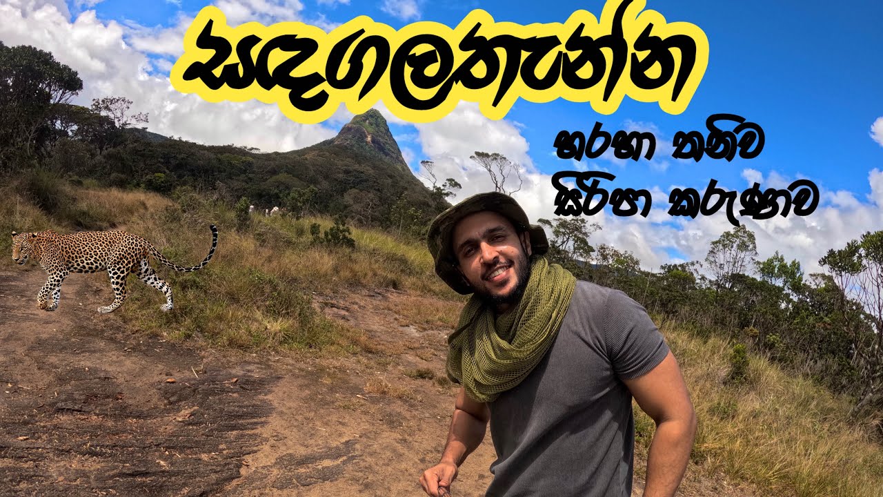 සඳගලතැන්නෙන් තනියෙන් සිරීපාදේ යමු Sripada Pilgrimage via Sandagalathenna Road #adamspeak #travel 