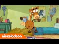 Das ist Pony! | Das laute Pferd | Nickelodeon Deutschland