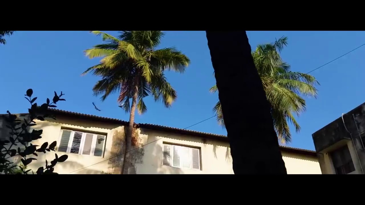 ERUMA SAANI PULLINGO || tamil tubers