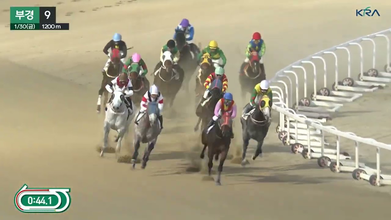 꼬마 서강주 .단승69.8배.2위.굿