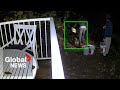 Caught-on-camera pollution in fish-bearing BC creek under investigation