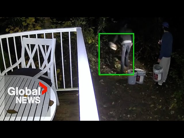 Security video shows possible pollution in fish-bearing BC creek