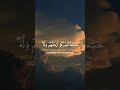 سورة القلم الآية 42