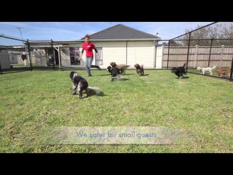 bayside-pet-centre