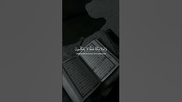تلاوة رائعة تتهدأ القلب 🌿🤍#ياسر_الدوسري #اسلام_صبحي #عبدالرحمن_مسعد #قران_كريم