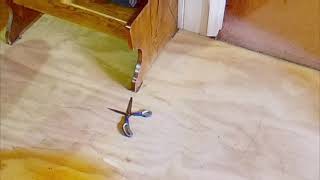A Virtual Crime Scene