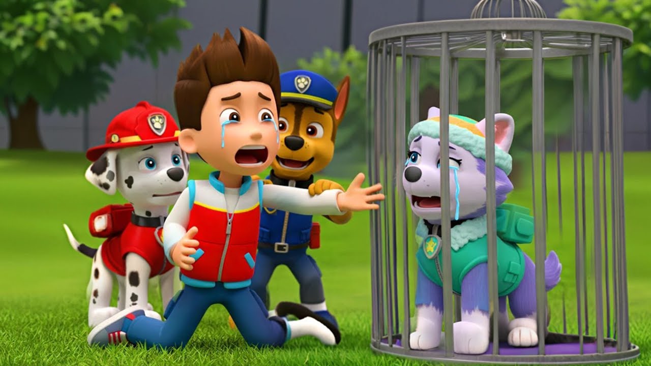 Why Was Everest Locked in a Cage?! - Very Sad Story | Paw Patrol Ultimate Rescue - Rainbow 3