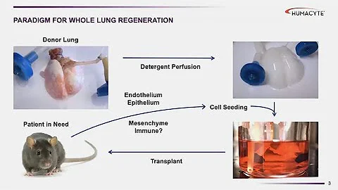 Bioengineering Stem Cells - Sanford Stem Cell Symposium