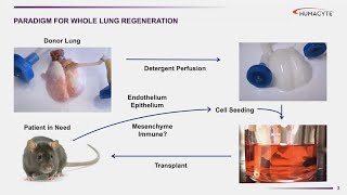 Bioengineering Stem Cells - Sanford Stem Cell Symposium