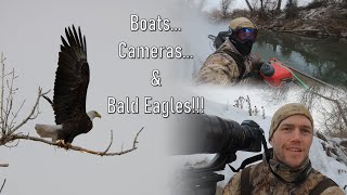 A Day of Bald Eagles | Wildlife Photography