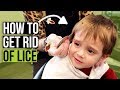 Head Lice Combing Techniques - How to Check for Lice at Home
