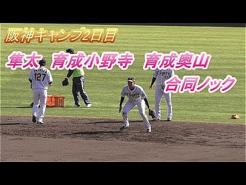 2020阪神安芸キャンプ　2日目⑦　合同ノック　隼太　小野寺　奥山