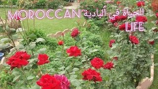 مرحبا بكم جميعا اخواني واخواتي الكرام في هدا المنضر الجميل ‎@moroccan life الحياة في البادية  (2)