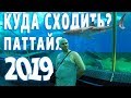 Тайланд 2019. Что посмотреть В Паттайе? Экскурсия в Океанариум Underwater World в Паттайе