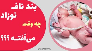 ?چه زمانی بند ناف نوزاد میفته و از بدن جدا میشه؟‍#بندناف#رشدجنین#مجله_بارداری#بارداری