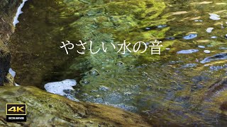 4K video + natural environmental sounds ASMR / Sound of gently flowing water by kazephoto _ 4 K 癒しの自然風景 47,926 views 3 months ago 3 hours, 21 minutes
