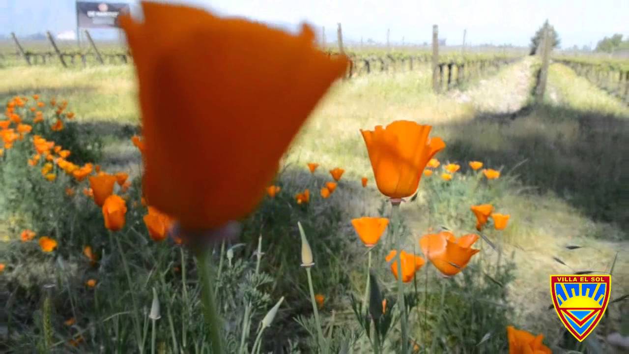 Isla de Maipo: "Una Isla en la Región Metropolitana" - Concurso: "Grabando" EducarChile
