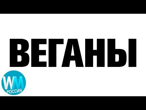 Видео: 13 вещей, которые люди из Атланты любят ненавидеть - Matador Network