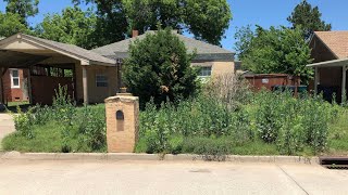 Tall front yard Transformation