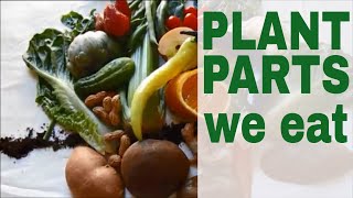 What Parts Of the Plants Do We Eat? A Lesson In Botany. #edible_parts_of_plants