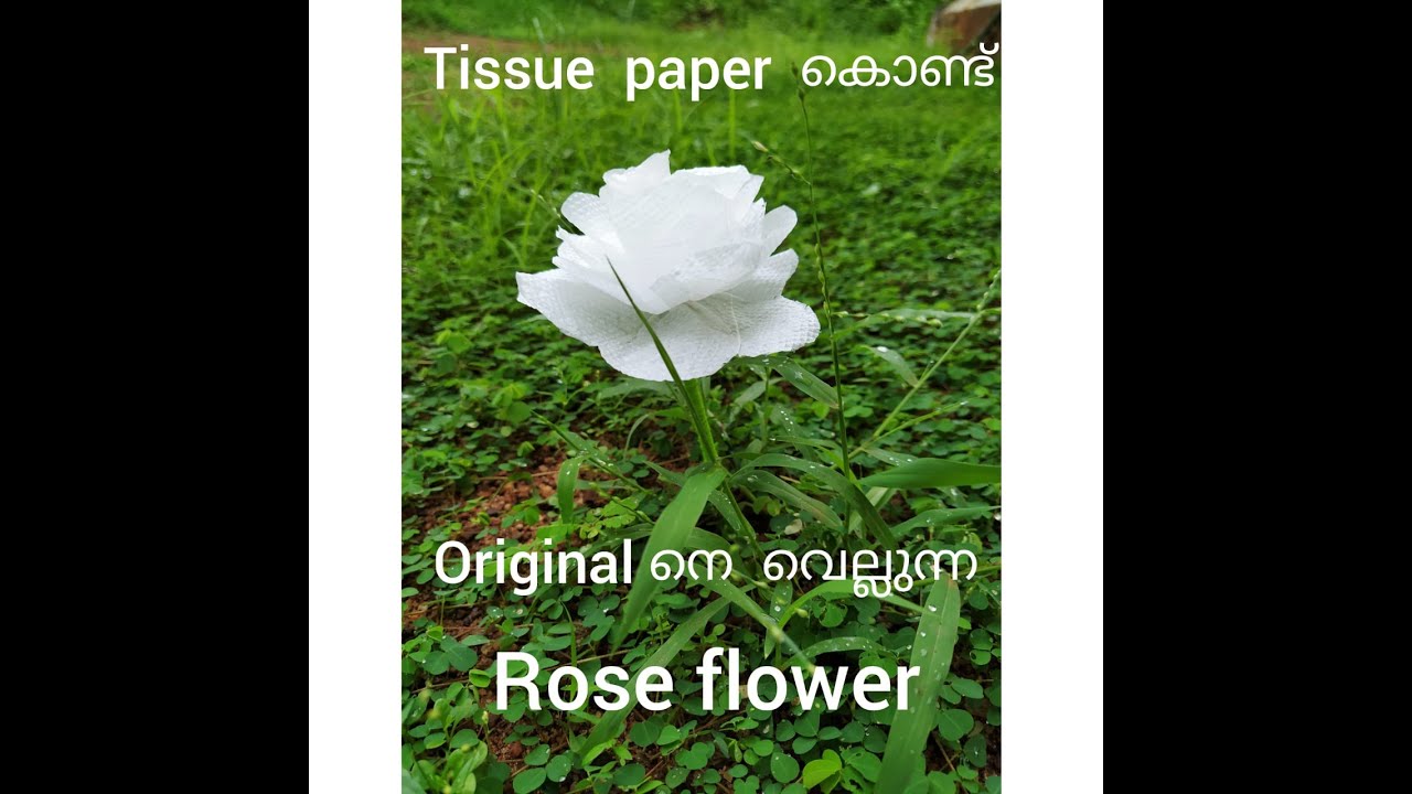 Tissue Paper Rose Flower Malayalam Crafts From Waste TISSUE PAPER