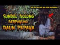 🔴 1064- JELAS ! SUNDEL BOLONG BERPAYUNG DAUN PEPAYA