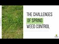 The challenges of spring weed control