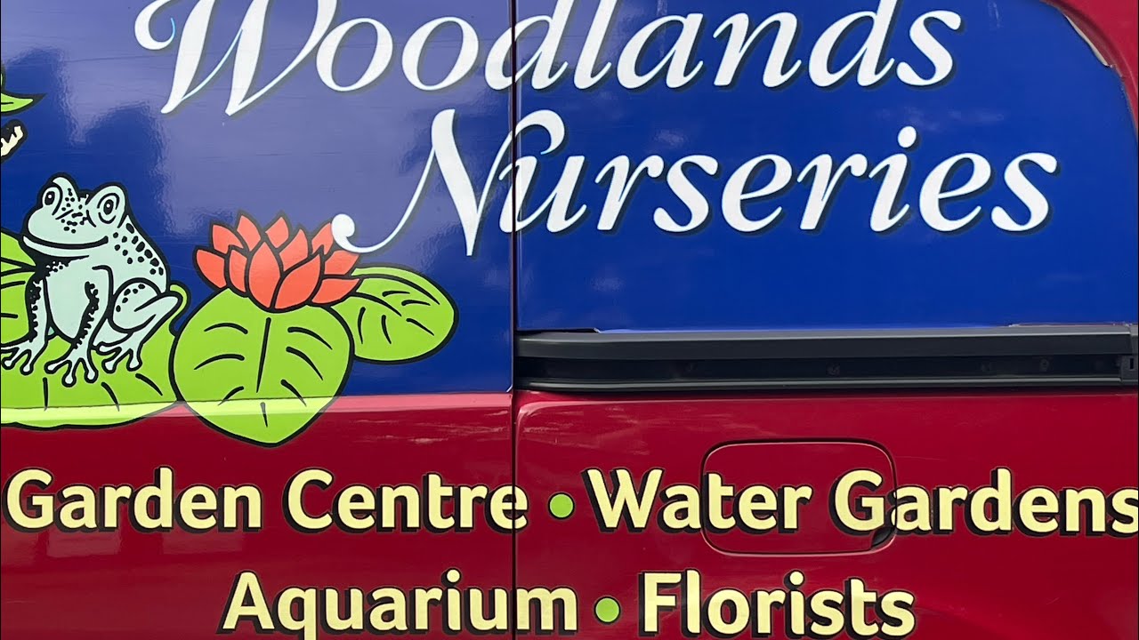 200 miles to the Lake District this awesome aquarium store like a yard sale 