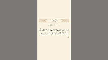 سورة الأنبياء: الآية 74 #قران_كريم #قرآن #سورة_الأنبياء