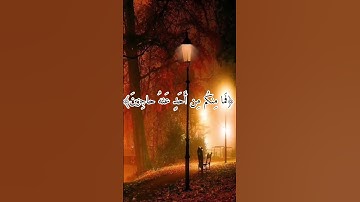 ما تيسر من سورة  الحاقة (القارئ عمر)