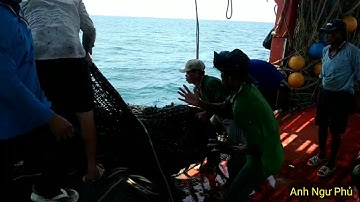 Đây là cách Đánh Bắt Hải Sản của Nghề Giã Cào Kiên Giang / Fishing | Anh Ngư Phủ