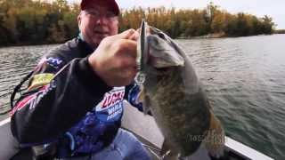 Fishing for Bass with Jerkbaits in Cold Water