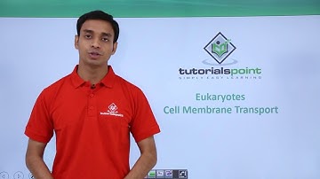 Class 11th - Eukaryotes - Cell Membrane Transport | Cell: The unit of Life | Tutorials Point