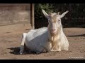 Martin herzlich willkommen im tierrefugium hanau