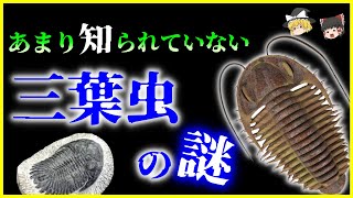 【ゆっくり解説】実は1万種いた⁉古代生物「三葉虫」を解説/生息地・絶滅理由は？「示準化石」として地質時代や生態を突き止める科学者たちがヤバい