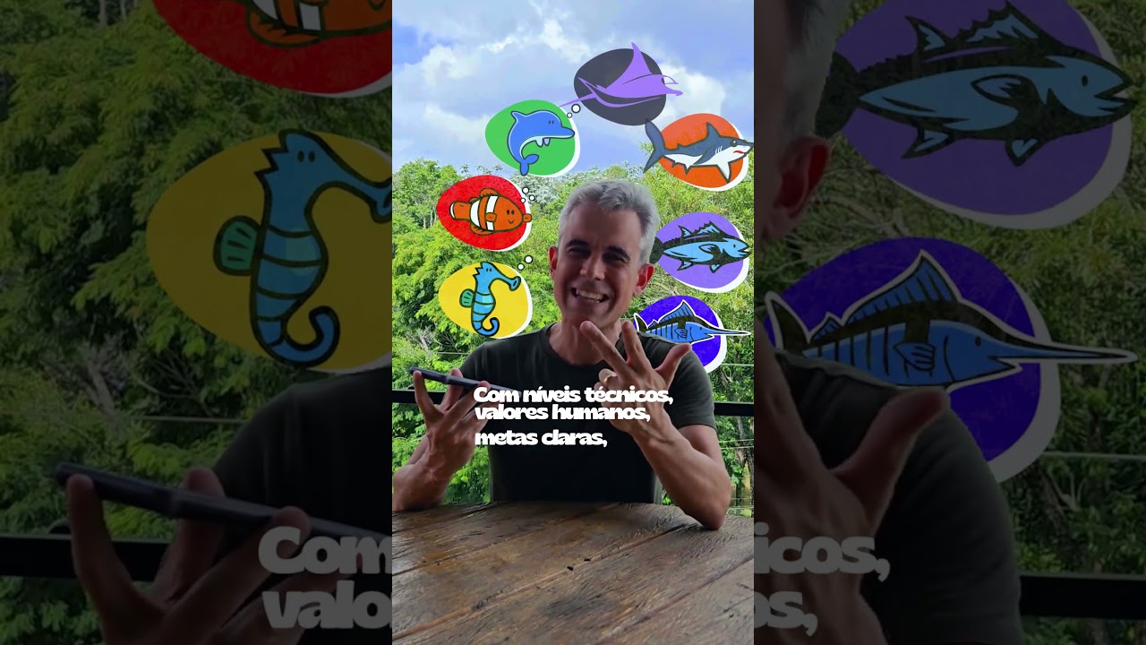 Portfólio - ADS