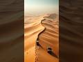 The Sand Wall Morocco S Desert Defense Facts History Army Shortsfeed Viralvideo Shorts Wall