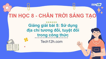 Giảng bài 5: Sử dụng địa chỉ tương đối, địa chỉ tuyệt đối trong công  – Tin học 8 Chân trời sáng tạo