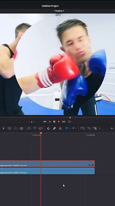 ZOOM into One Area without Zooming the Rest - Davinci Resolve