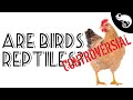 Birds Are Reptiles?