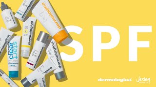 dermalogica sunscreen
