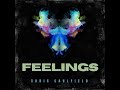 Feelings by chris caulfield  official lyric visualizer
