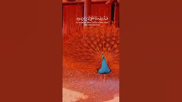 تلاوة عطرة اجر لي ولكم  القارئ محمد هشام حسن