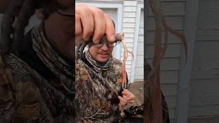 How to remove Tendons From Pheasant Legs