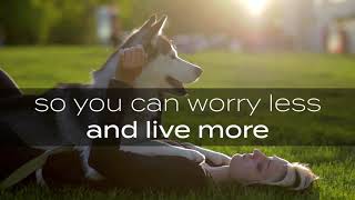 Redwood Apartment Homes | Pets Are Always Welcome In Our Neighborhoods | Schedule Your Tour Today